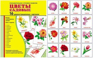 Демонстрационные карточки "Цветы садовые" - fgospostavki.ru - Выкса