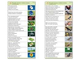 Комплект карточек (10) "Обучающий калейдоскоп. Природа" - fgospostavki.ru - Выкса