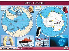 Таблица демонстрационная "Арктика и Антарктика" (винил 100*140) - fgospostavki.ru - Выкса