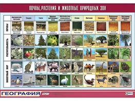 Таблица демонстрационная "Почвы, растения и животные природных зон" (винил 70*100) - fgospostavki.ru - Выкса