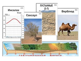 Модель-аппликация "Природные зоны" - fgospostavki.ru - Выкса