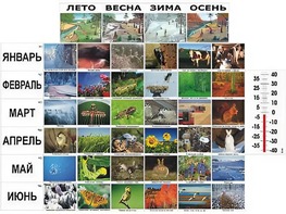 Фенологические наблюдения - fgospostavki.ru - Выкса