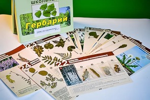 Гербарий к курсу основ общей биологии - fgospostavki.ru - Выкса