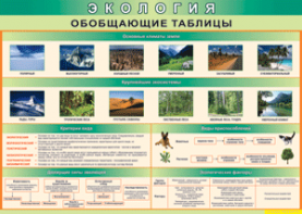 Таблица "Экология. Обобщающие таблицы" (100х140 сантиметров, винил) - fgospostavki.ru - Выкса