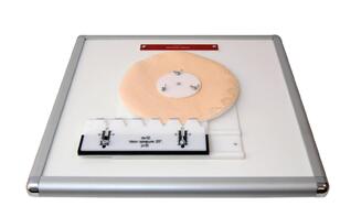 Комплекс "Изучение зубьев" - fgospostavki.ru - Выкса