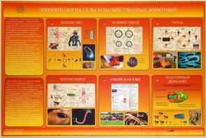 Электрифицированный стенд «Эпизоотология сельскохозяйственных животных» - fgospostavki.ru - Выкса