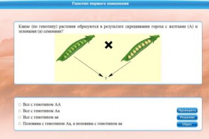 Интерактивные курсы. Биология 11 класс. Базовый. - fgospostavki.ru - Выкса