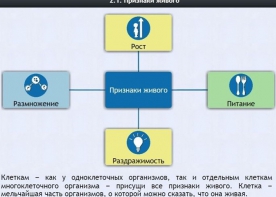 Интерактивные курсы. Биология 5 класс. Базовый - fgospostavki.ru - Выкса