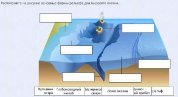 Интерактивные курсы. География 7 класс . Базовый. - fgospostavki.ru - Выкса