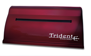 Принтер для печати рельефно-точечным шрифтом Брайля Trident - fgospostavki.ru - Выкса