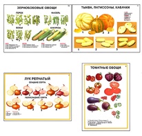 Плакаты ПРОФТЕХ "Ассортимент овощных культур" (12 пл, винил, 70х100) - fgospostavki.ru - Выкса