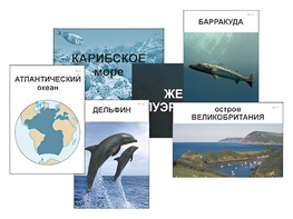Модель-аппликация "Океаны. Знакомство" (ламинированная) - fgospostavki.ru - Выкса