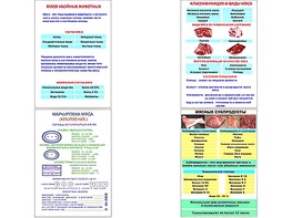 Плакаты ПРОФТЕХ "Классификации и виды мяса" (4 пл, винил, 70х100) - fgospostavki.ru - Выкса