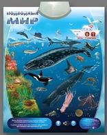 Озвученный плакат "Подводный мир" - fgospostavki.ru - Выкса