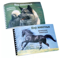 Пособие для слабовидящих - Домашние животные - fgospostavki.ru - Выкса