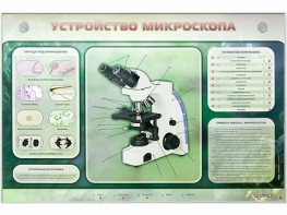 Электрифицированный стенд "Устройство микроскопа и правила работы c ним" - fgospostavki.ru - Выкса
