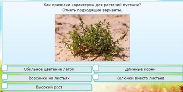 Интерактивные курсы. Окружающий мир 3 класс . Базовый. - fgospostavki.ru - Выкса