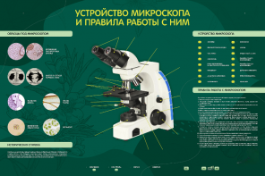 Электрифицированный стенд "Устройство микроскопа и правила работы c ним" - fgospostavki.ru - Выкса