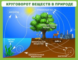 Стенд "Круговорот веществ" - fgospostavki.ru - Выкса