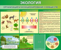 Стенд "Экология. Организация и функционирование сообществ" - fgospostavki.ru - Выкса