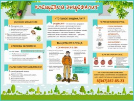 Стенд "Клещевой энцефалит" - fgospostavki.ru - Выкса