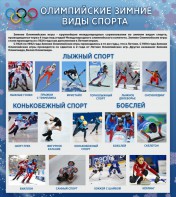 Стенд "Олимпийские зимние виды спорта" - fgospostavki.ru - Выкса