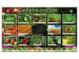Комплект оборудования "Живой уголок" (растения) - fgospostavki.ru - Выкса