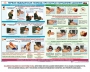 Комплект плакатов "Оказание первой доврачебной медицинской помощи" - fgospostavki.ru - Выкса