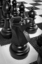 Напольные фигуры шахматные гигантские 61 - fgospostavki.ru - Выкса