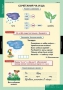 Комплект таблиц. Русский язык. Обучение грамоте 2 класс. - fgospostavki.ru - Выкса
