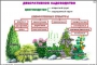 Комплект кодотранспарантов "Культурные растения" - fgospostavki.ru - Выкса