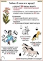 Комплект кодотранспарантов "Ядовитые растения" - fgospostavki.ru - Выкса