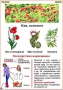Комплект кодотранспарантов "Ядовитые растения" - fgospostavki.ru - Выкса